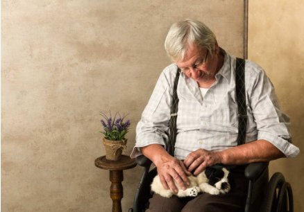 暮年是什么意思?