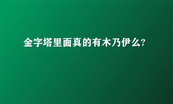 金字塔里面真的有木乃伊么?