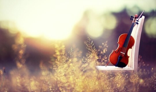 lip service什么意思