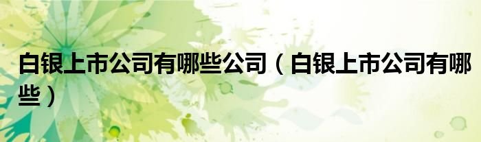 白银上市公司有哪些公司白银上市公司有哪些
