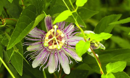 焕然与涣然的区别