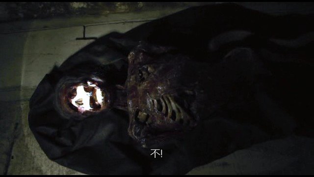 幽灵樟宜的基本信息