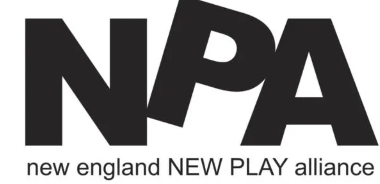 npa是什么意思？