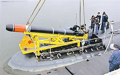 白头鱼雷的介绍