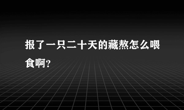 报了一只二十天的藏熬怎么喂食啊？
