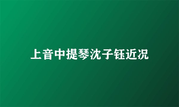 上音中提琴沈子钰近况