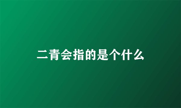二青会指的是个什么