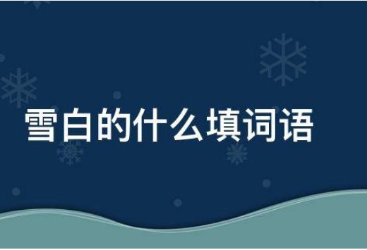 雪白的什么填空
