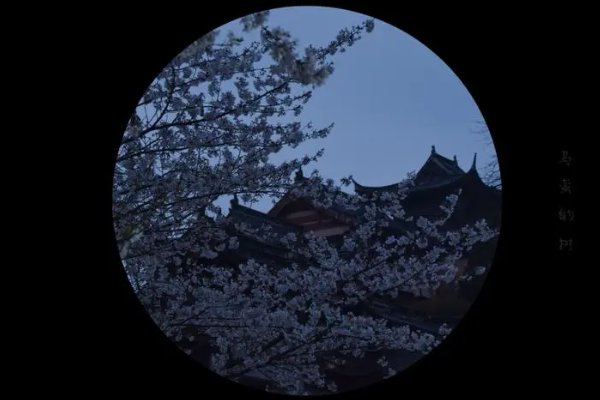 春风十里柔情,夜月一帘幽梦全诗