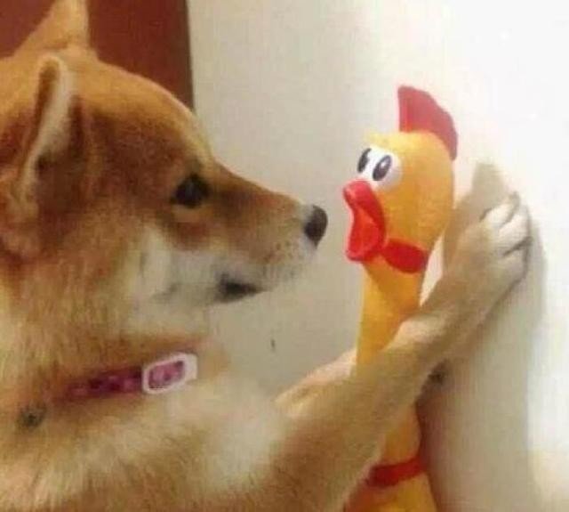 呆到极致是深沉,蠢到深处自然萌…愿我的世界总有你二分之一…什么意思？