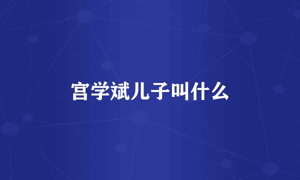 宫学斌儿子叫什么