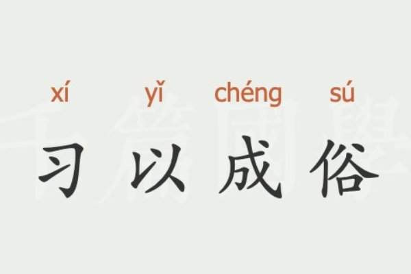 习以成俗什么意思