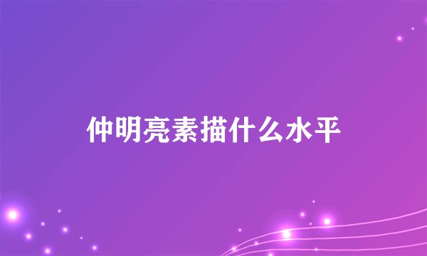 仲明亮素描什么水平