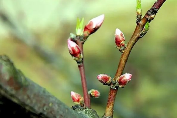 描述三月的美句开头