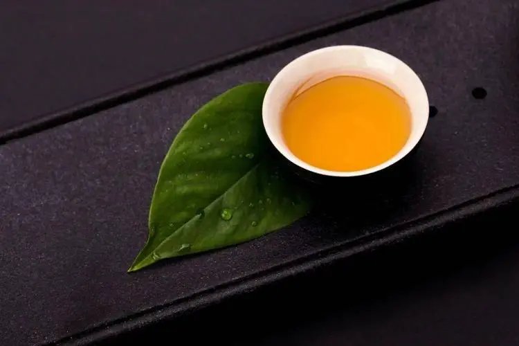 草木之中有一人打一字谜