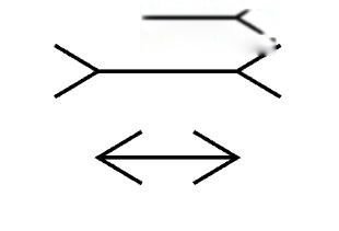 亚里士多德错觉实验 理论依据以及案例有哪些