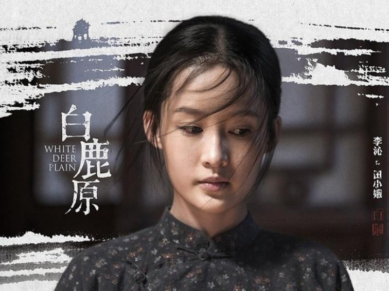 李沁主演的电视剧