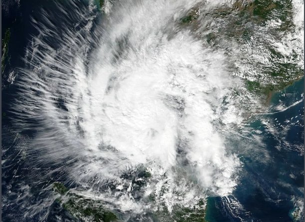 帕布什么意思？