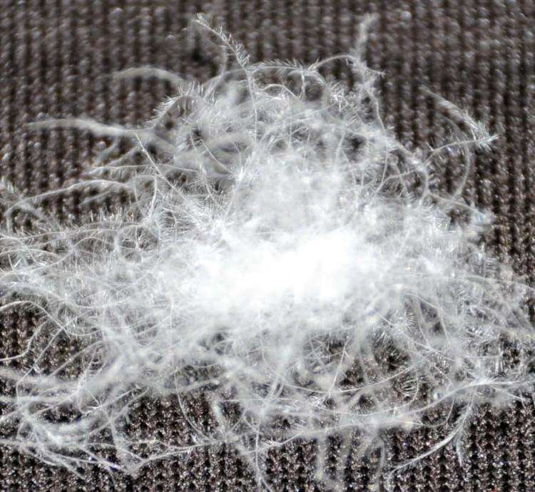 灰鸭绒和白鸭绒的区别。别说是颜色不同。在质地上，纤维上，保暖上，构造上等等的区别，要详细的