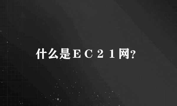 什么是ＥＣ２１网？