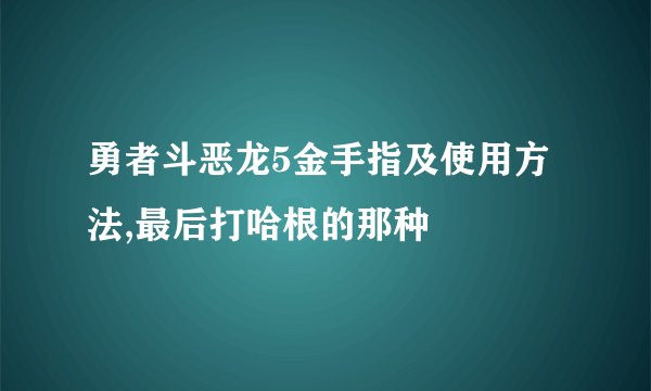 勇者斗恶龙5金手指及使用方法,最后打哈根的那种