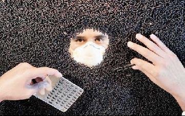 螺旋锥蝇的基本简介