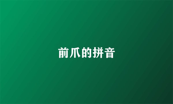 前爪的拼音