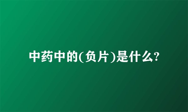 中药中的(负片)是什么?
