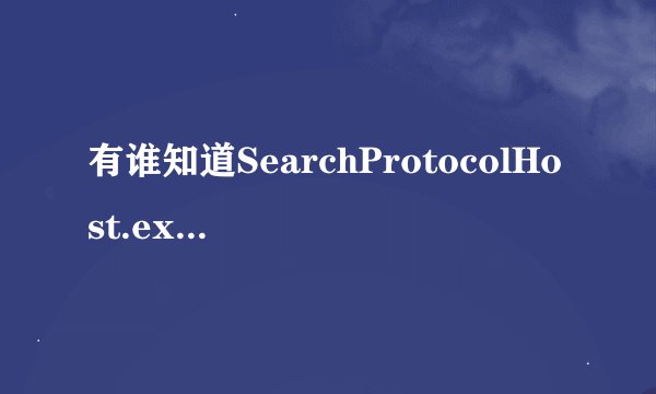 有谁知道SearchProtocolHost.exe做什么用的吗？