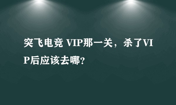 突飞电竞 VIP那一关，杀了VIP后应该去哪？