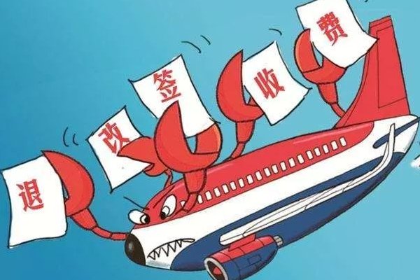 飞机票号在哪里查询