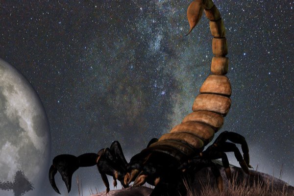 10月24日是什么星座