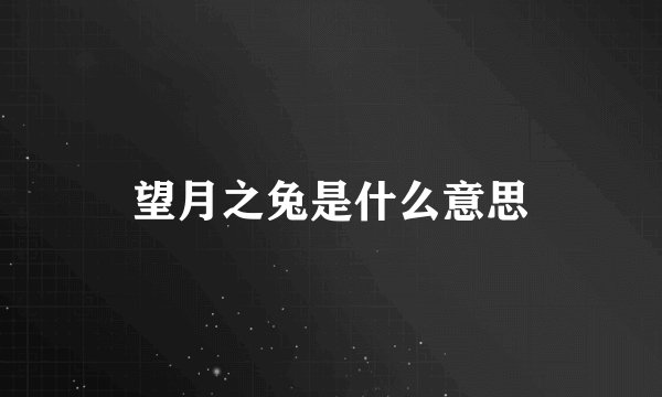 望月之兔是什么意思
