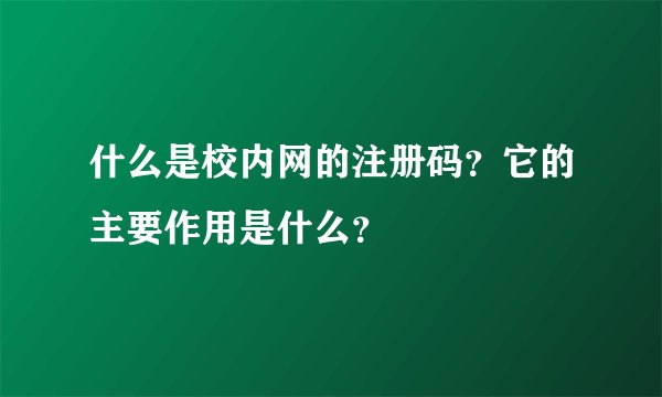 什么是校内网的注册码？它的主要作用是什么？