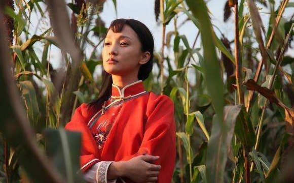 有哪些特别经典好看的电视剧?