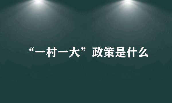 “一村一大”政策是什么