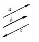 物理中“分量”指的是什么？