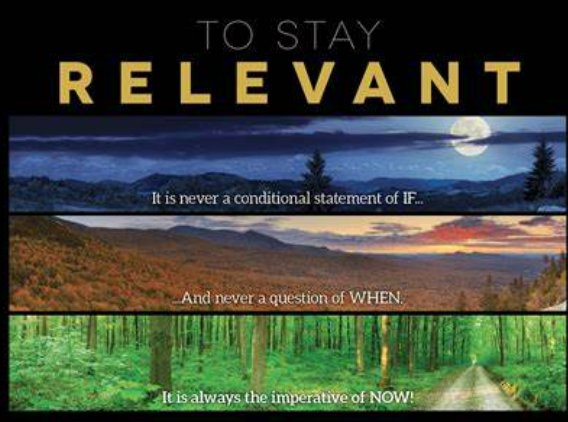 relevant的用法和搭配