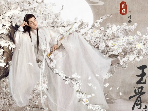 肖战新剧有哪些2023