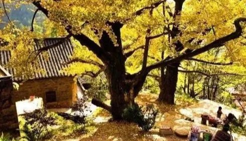 心之所向的地方有哪些