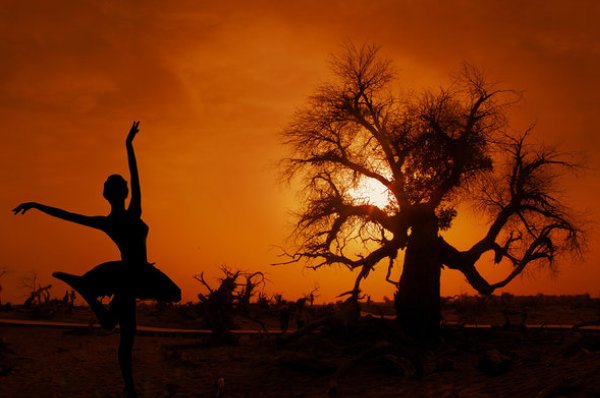 非池中物是什么意思