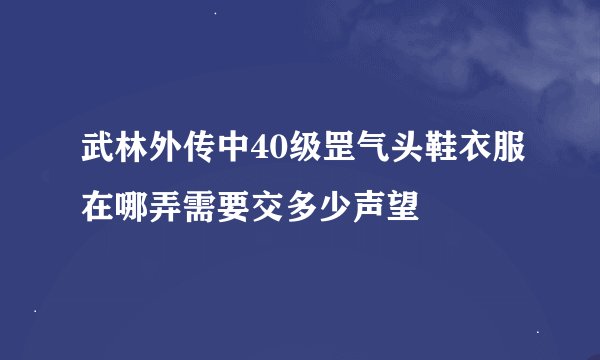 武林外传中40级罡气头鞋衣服在哪弄需要交多少声望