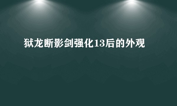 狱龙断影剑强化13后的外观