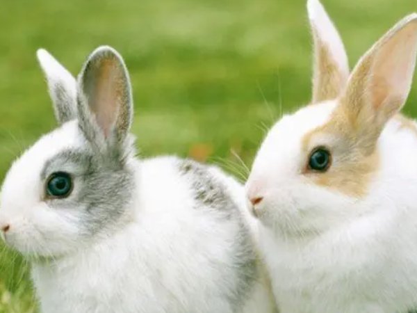 1999年现在多大了