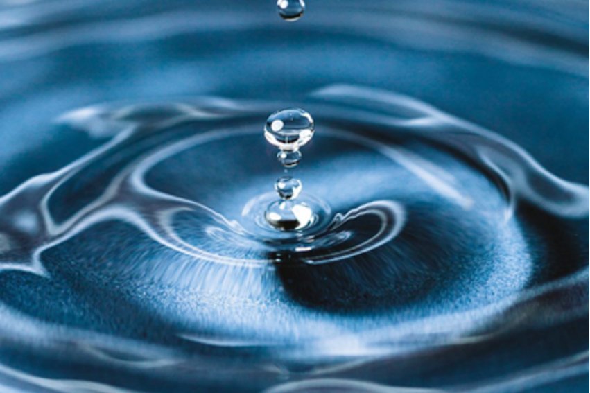 waters是什么意思