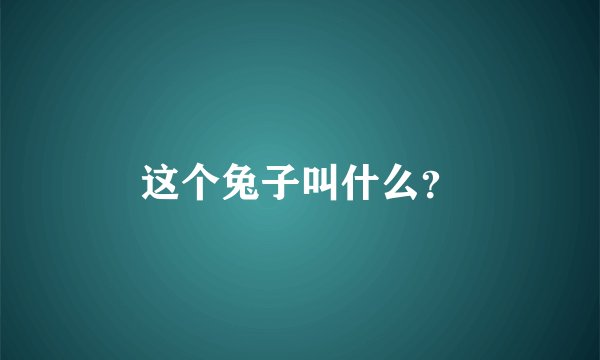 这个兔子叫什么？
