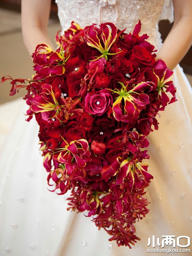 索拉难的拉丁词汇