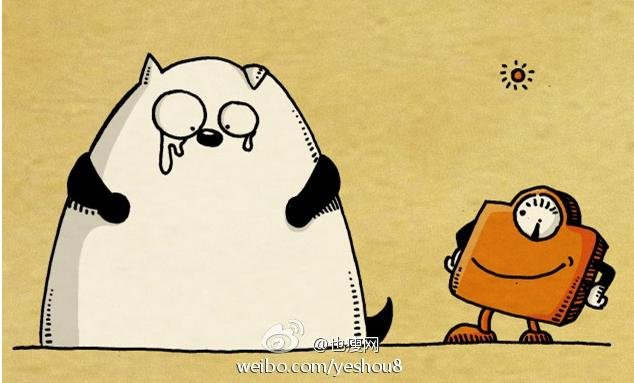 也瘦网的产品和服务