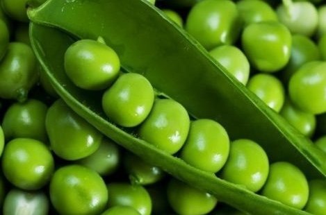 pea是什么意思英语