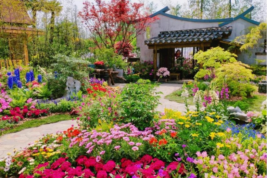 肩的拼音怎么读